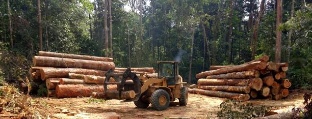 Grass Overseeding in Hanceville, AL